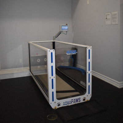 An AquaPaws underwater treadmill